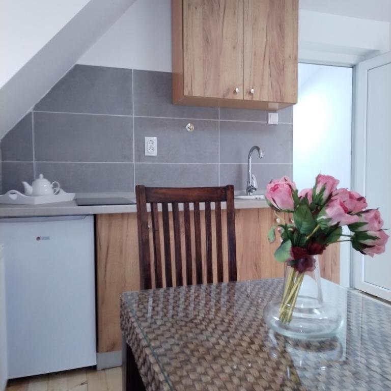 Vila Gala - Apartman sa 1 Spavaćom Sobom - 12