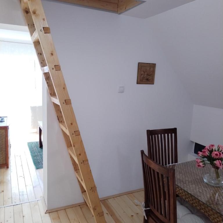 Vila Gala - Apartman sa 1 Spavaćom Sobom - 13