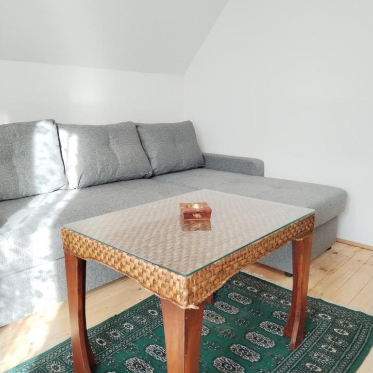 Vila Gala - Apartman sa 1 Spavaćom Sobom - 16
