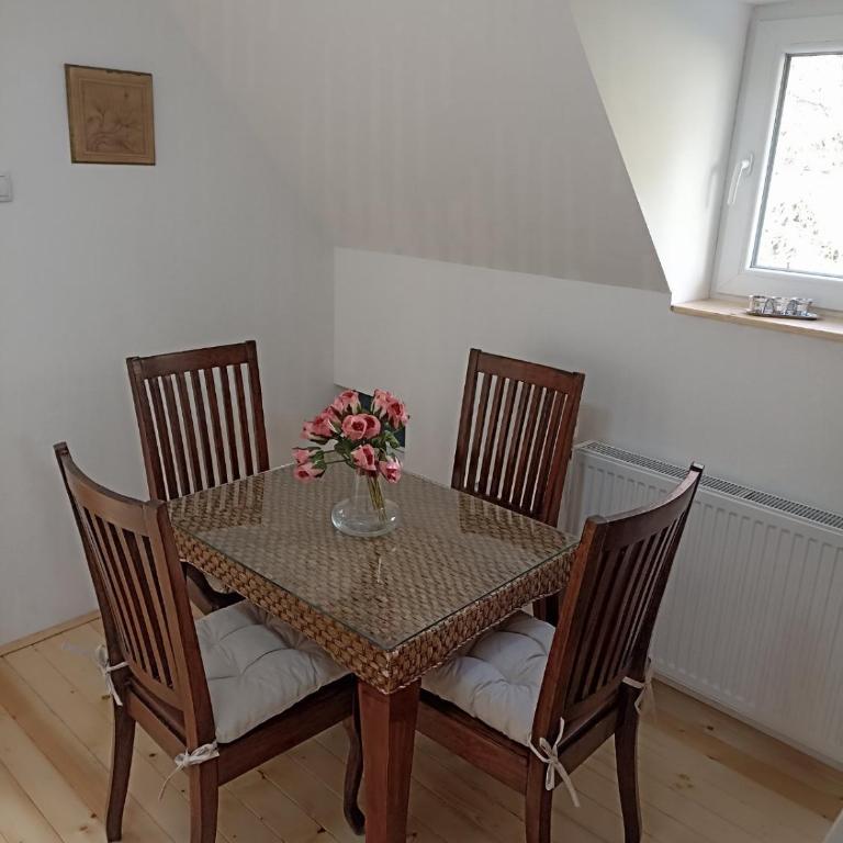 Vila Gala - Apartman sa 1 Spavaćom Sobom - 17