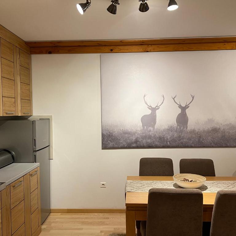 Apartman Jahorina-hotel Vucko - Apartment - 12