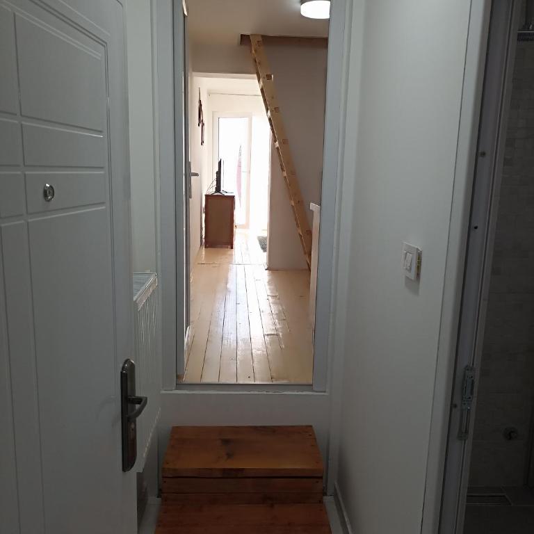 Vila Gala - Apartman sa 1 Spavaćom Sobom - 19