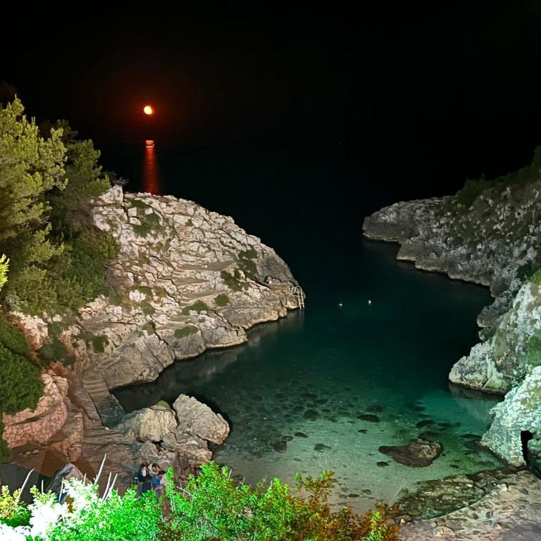 dallalbaltramonto - Appartamento con 1 Camera da Letto - 50