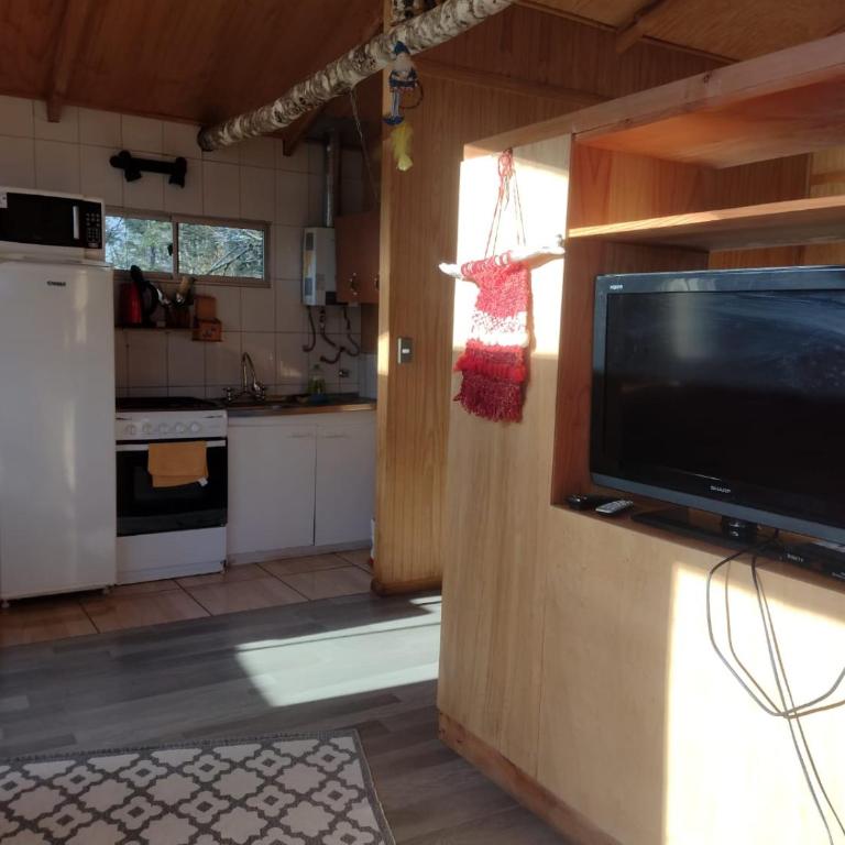 Cabañas Roka Caburgua - Apartamento de 1 dormitorio - 5