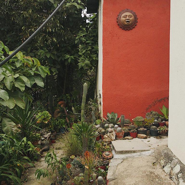 Cabaña Campestre en Oaxaca - Apartamento de 1 dormitorio - 22