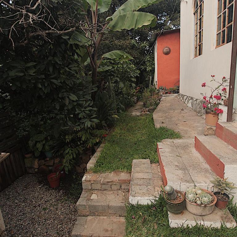Cabaña Campestre en Oaxaca - Apartamento de 1 dormitorio - 23
