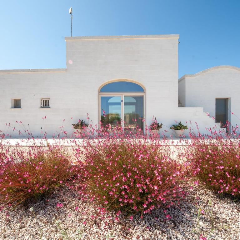 Trullo Amelie - Villa - 9
