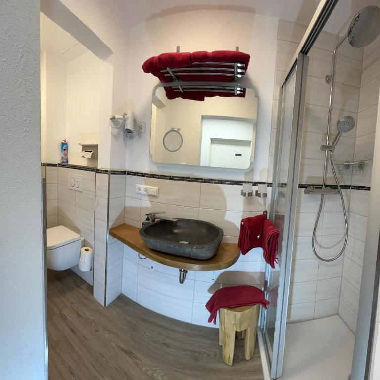 Hotel - Pension Alpenstern - Apartamento - 3