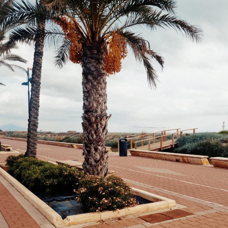 THE BEACH ACROSS THE STREET - Apartamento - 46