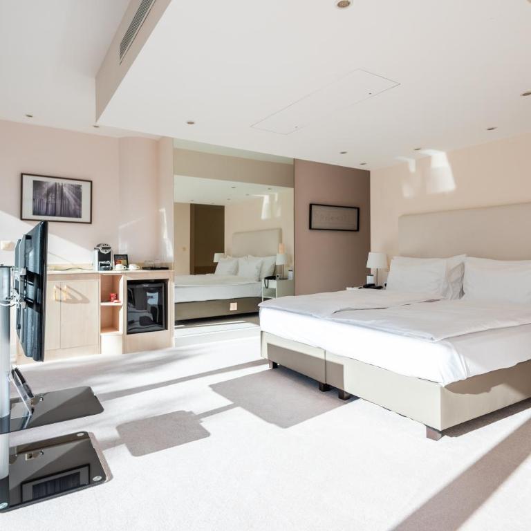 Royal Plaza Montreux - Royal Suite mit Seeblick und Terrasse - 13