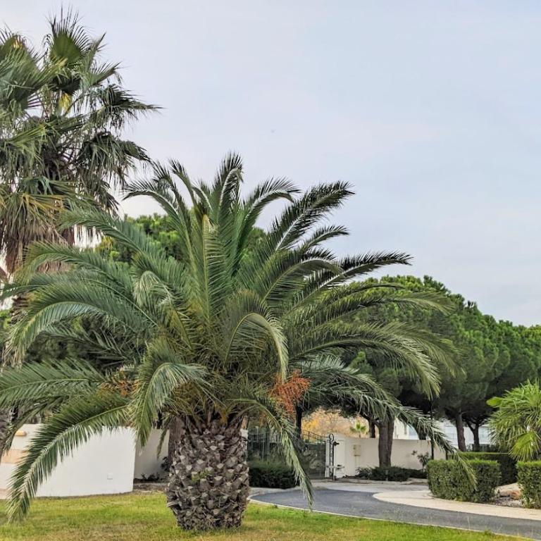 Presqu'île de la Lagune - Piscine - Mer & Nature - Apartment mit Meerblick - 23
