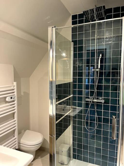Duplex 50m2 rénové, hyper-centre, St sauveur - Appartement 1 Chambre - 14