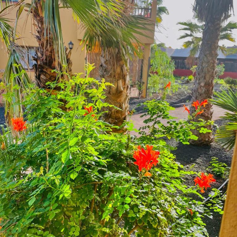 Paradise House - One-Bedroom Apartment - 27