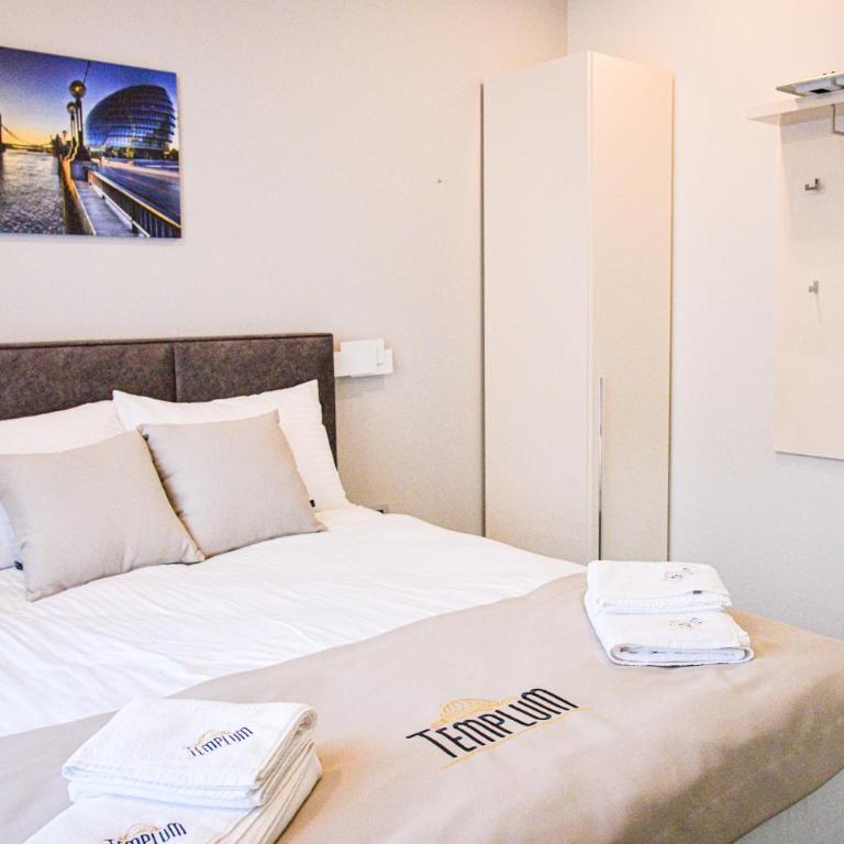 Templum apartments - Slavija square - Deluks Dvokrevetna Soba sa Bračnim Krevetom i Tušem - 3