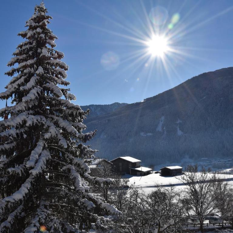 Chalet & Appartement Zingerlehof Trens - Appartamento con 2 Camere da Letto - 5