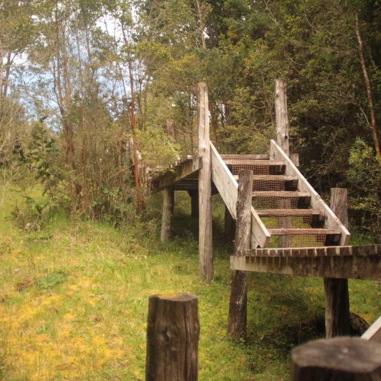 La Casita del Bosque - One-Bedroom House - 1
