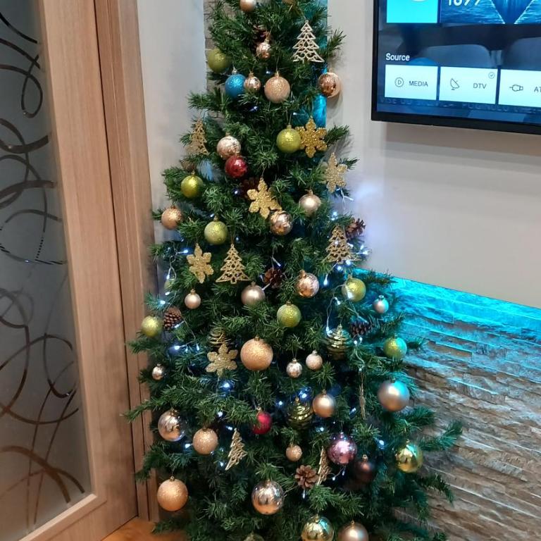 Apartman Komlenac-Zlatibor - Apartman sa 1 Spavaćom Sobom - 91