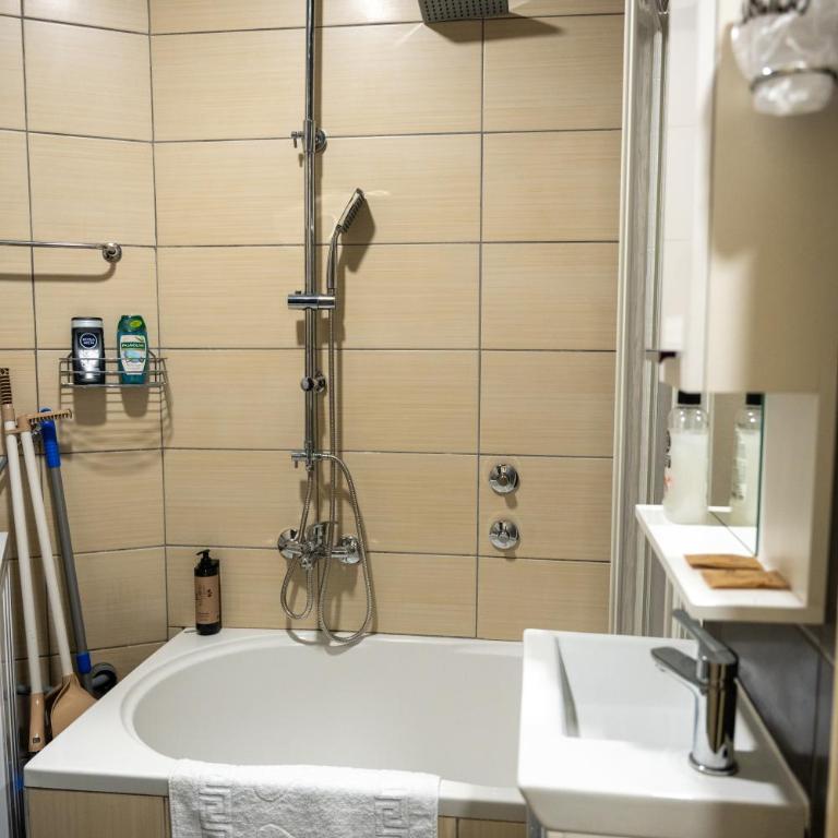 APARTMAN POZORISTE Penthaus - Penthaus Apartman - 28