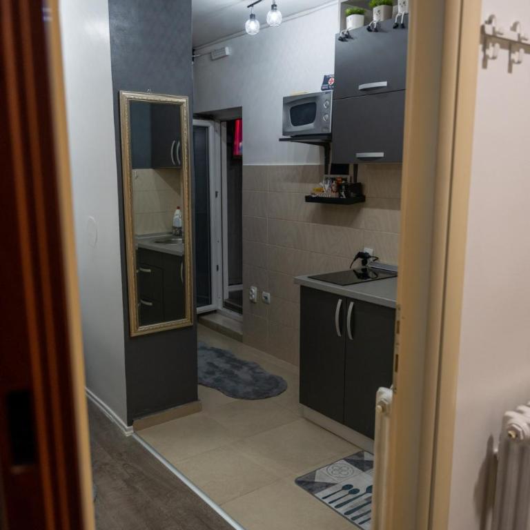 APARTMAN POZORISTE Penthaus - Penthaus Apartman - 16