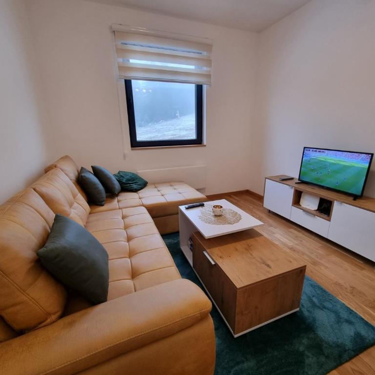 Cozy Ski Apartment Jahorina - One-Bedroom Apartment - 9