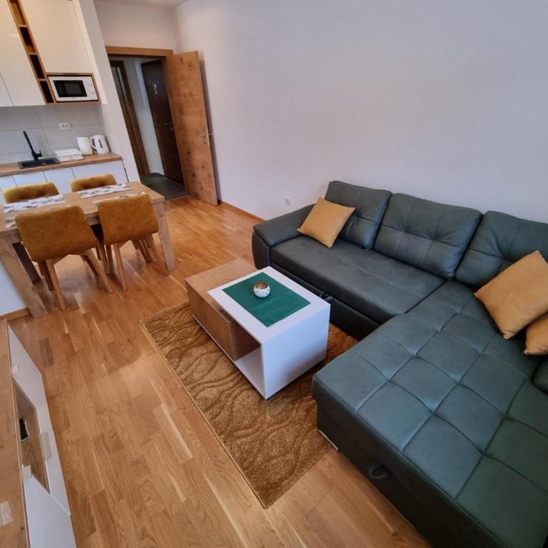 Cozy Ski Apartment Jahorina - One-Bedroom Apartment - 6
