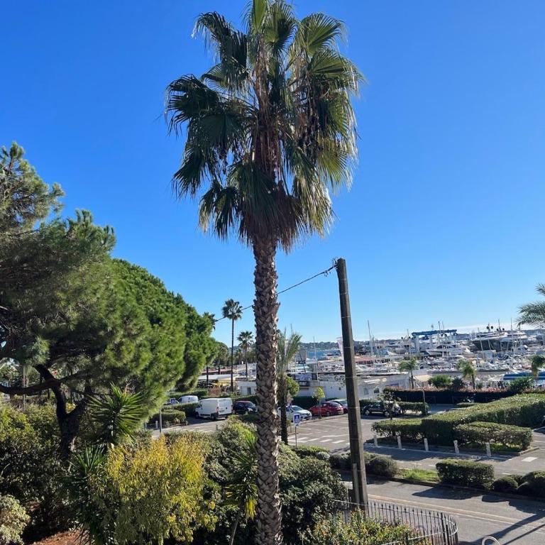 Seafront - beautiful flat with aircon and comfortable loggia - Appartement 1 Chambre - 5