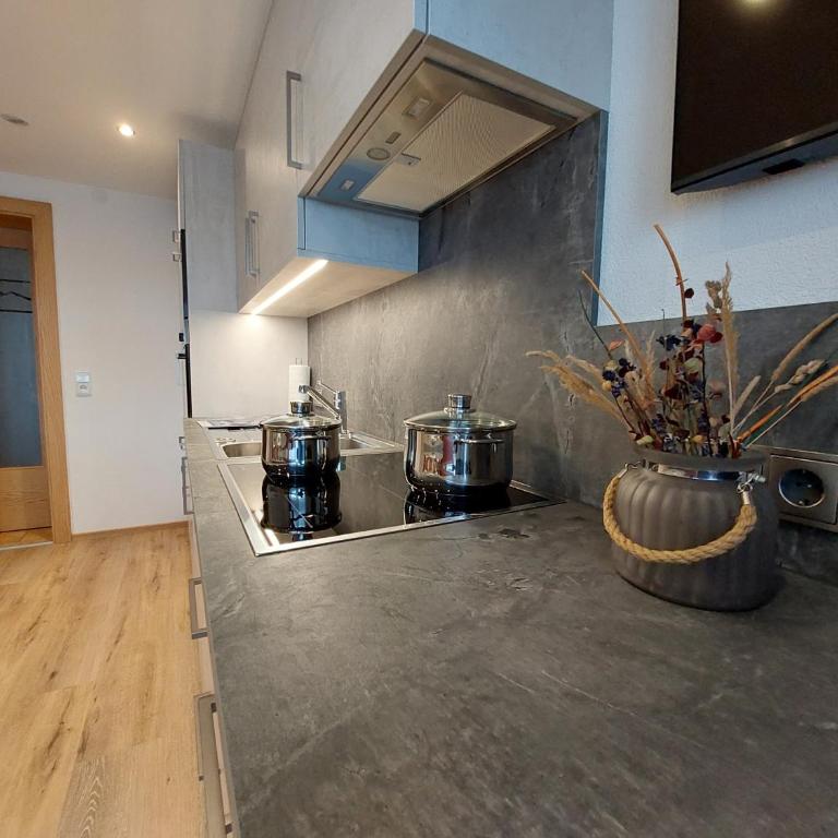 Apart Frühstückspension Stark - Apartment mit Sauna - 18
