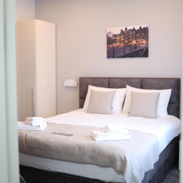 Templum apartments - Slavija square - Deluks Dvokrevetna Soba sa Bračnim Krevetom i Tušem - 7