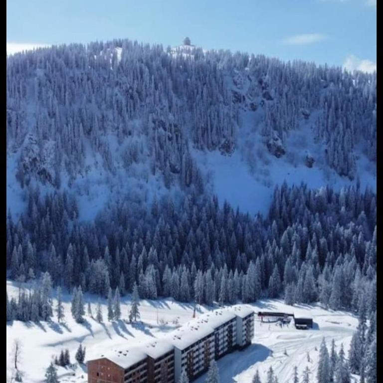 Apartman Winter night Snježna dolina - One-Bedroom Apartment - 1