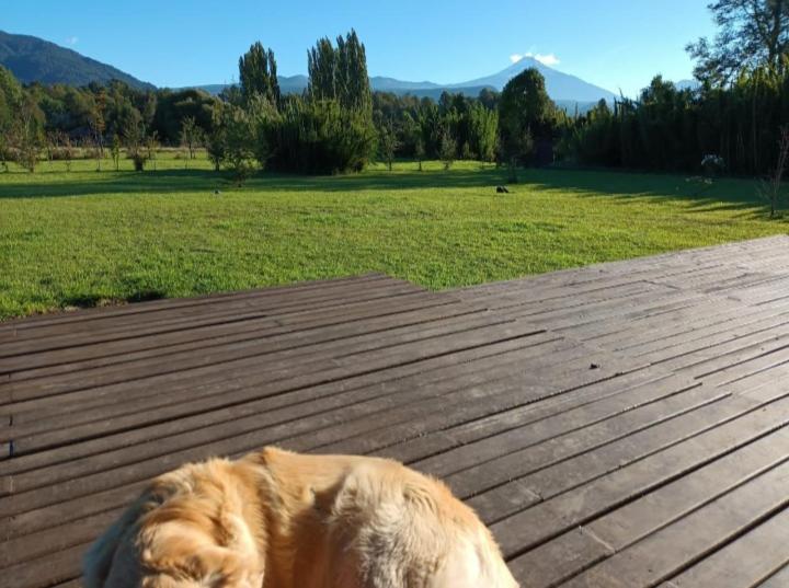 Casa Pucon Palguin - Two-Bedroom House - 27