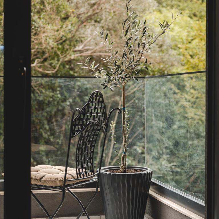 ZAFIRO SPA & RESIDENCE - One-Bedroom Apartment - 20