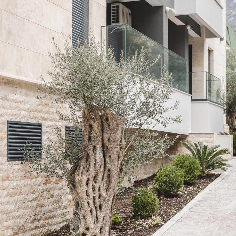 ZAFIRO SPA & RESIDENCE - One-Bedroom Apartment - 32
