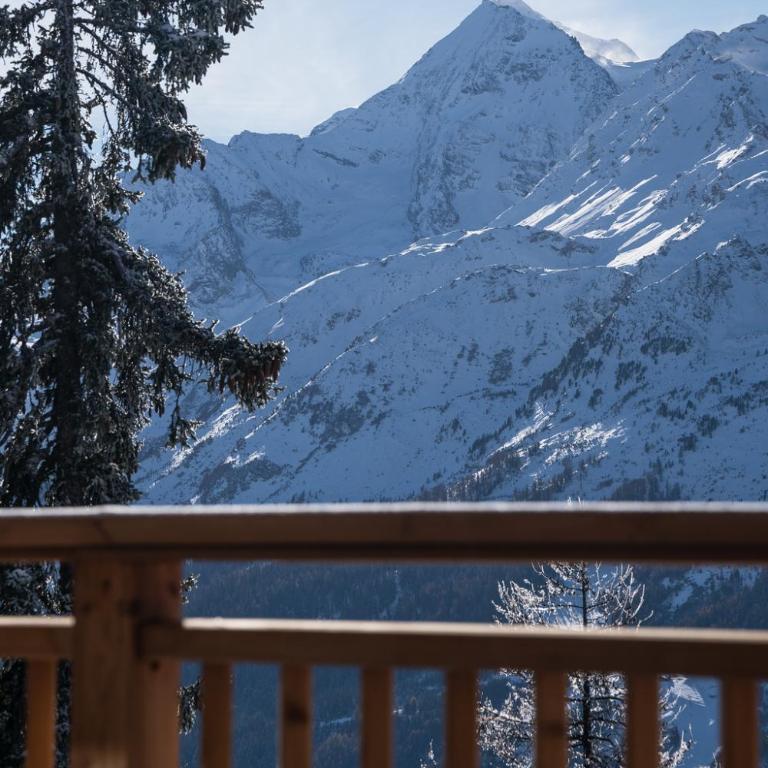 Appartement Panorama, résidence Les Alpages - Apartment mit 3 Schlafzimmern - 23