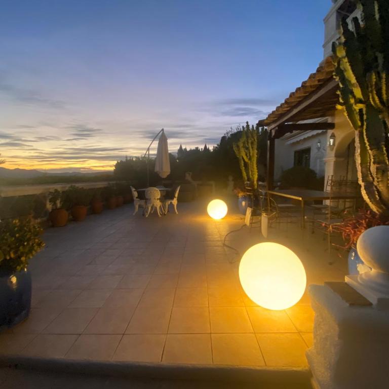Somptuous exotic villa in Cannes - Villa - 50