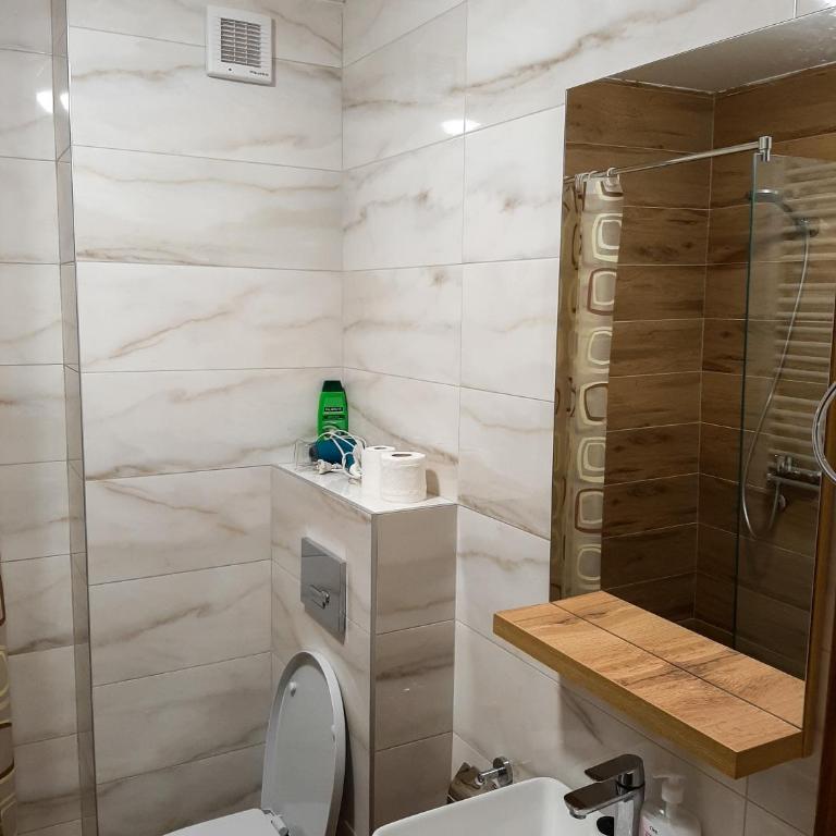 Pahulja - Apartman sa 1 Spavaćom Sobom - 9