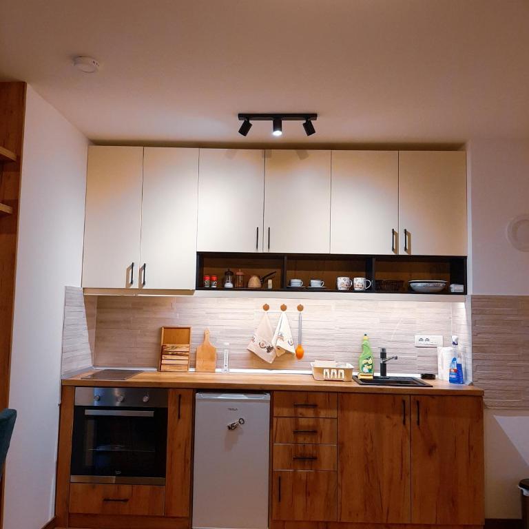 Pahulja - Apartman sa 1 Spavaćom Sobom - 8