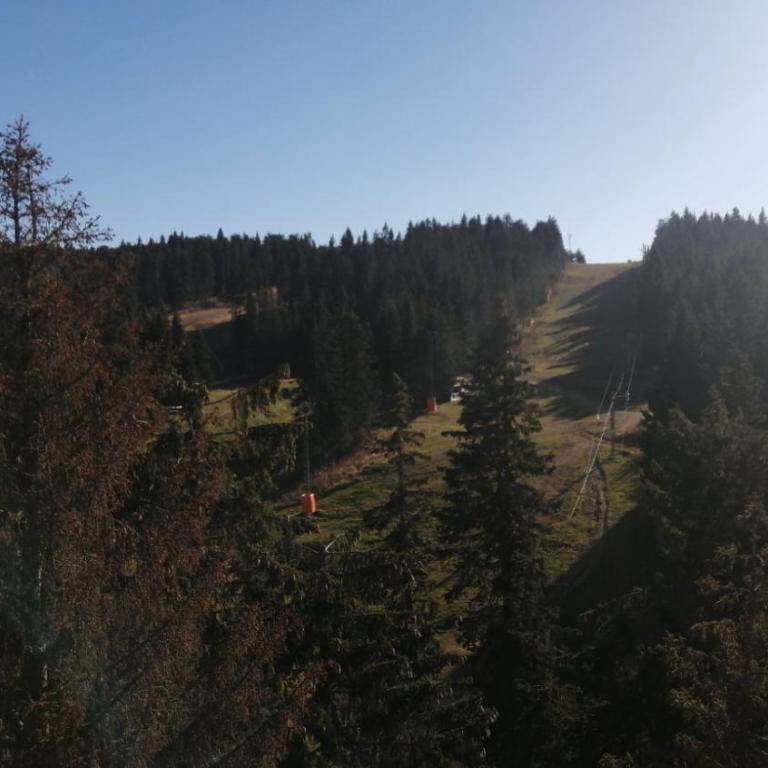 Woodside apartments Kopaonik with garage - Duplex Apartment - 26
