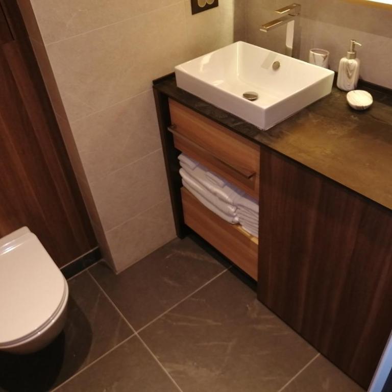Woodside apartments Kopaonik with garage - Duplex Apartment - 12
