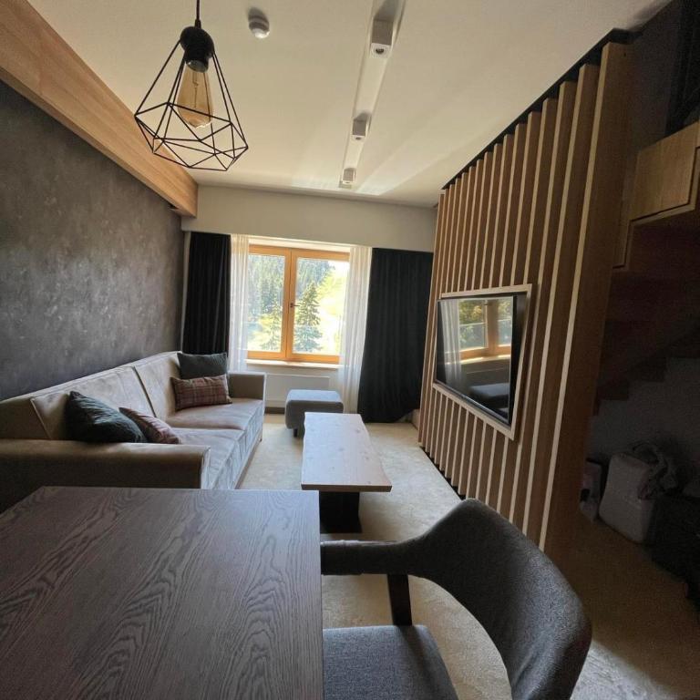 Woodside apartments Kopaonik with garage - Duplex Apartment - 4