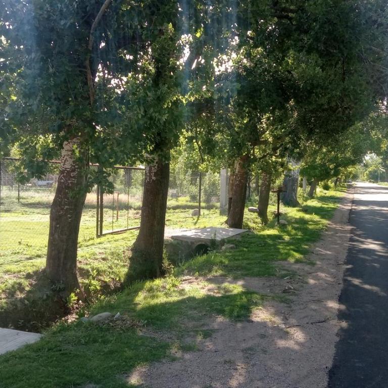 Pequeña Villa - Casa con 1 dormitorio - 8