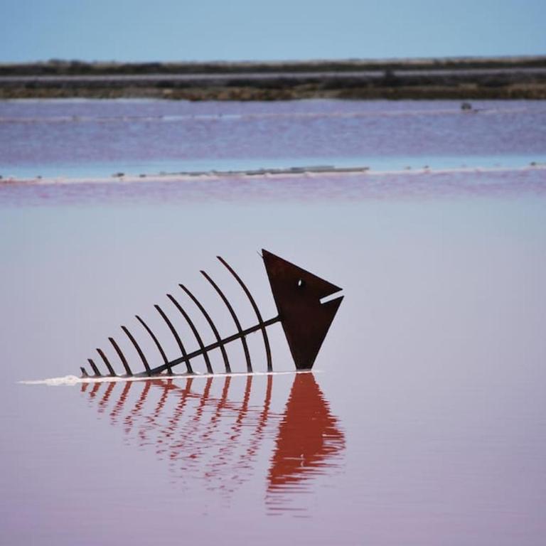 Bellyenmer Gruissan - Appartement 2 Chambres - 37