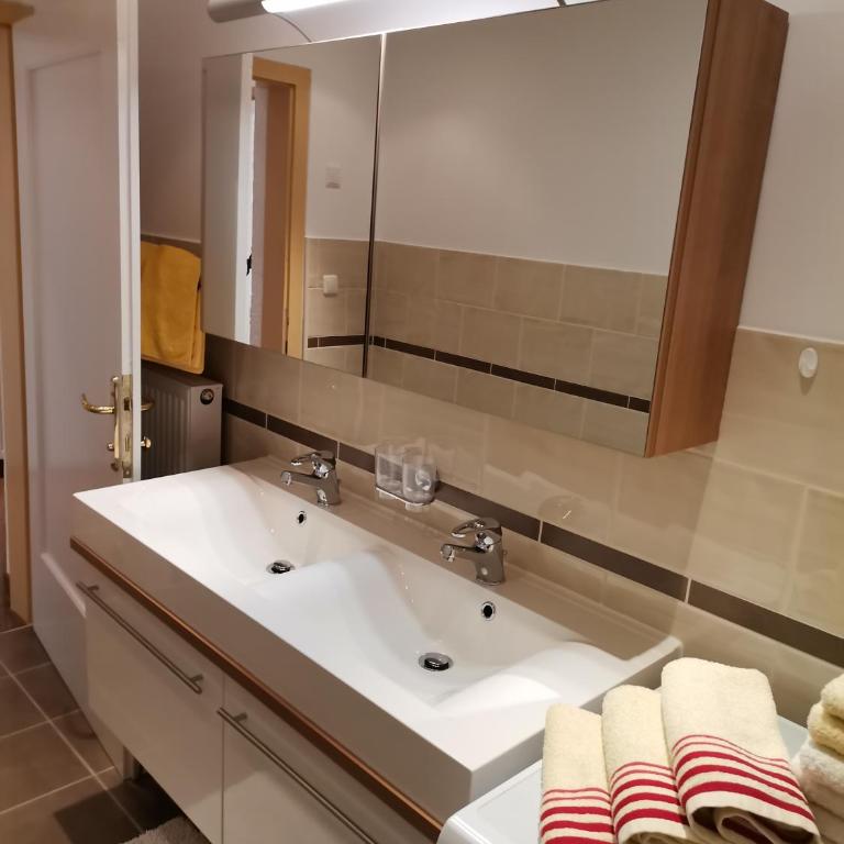 Ferienwohnung Hohe Wand - Apartment mit Blick auf die Berge - 18