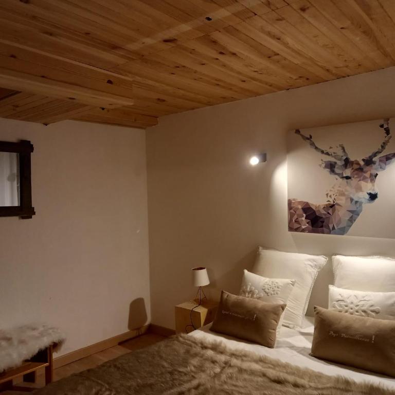 Chalet de montagne au cœur de Doucy - Chalet - 15