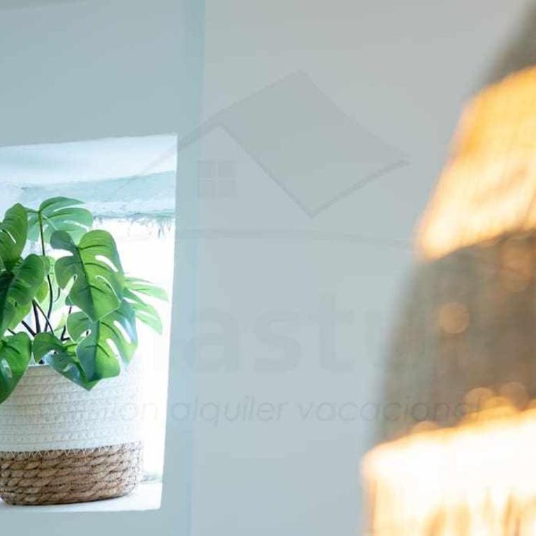 Camino By Silastur - Apartamento de 3 dormitorios - 35