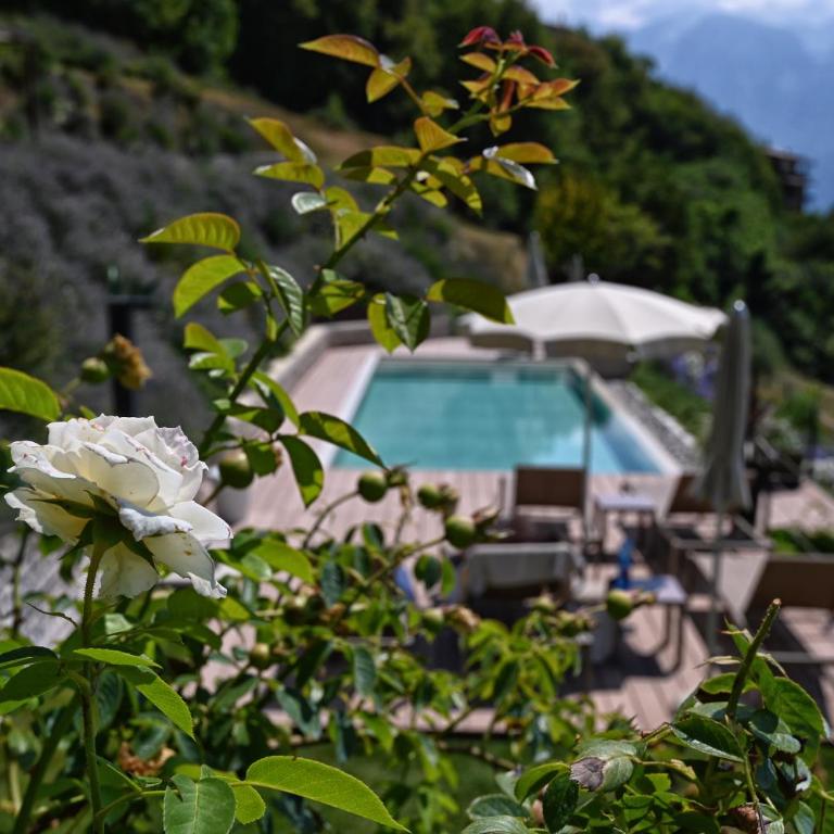 BnB Borgo le Vigne - L'Uva rara Only Adults - Appartamento Deluxe con 2 Camere da Letto e Vista Giardino - 32