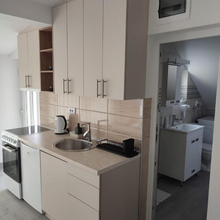 Ana Belgrade Apartments - Apartman sa 1 Spavaćom Sobom - 12