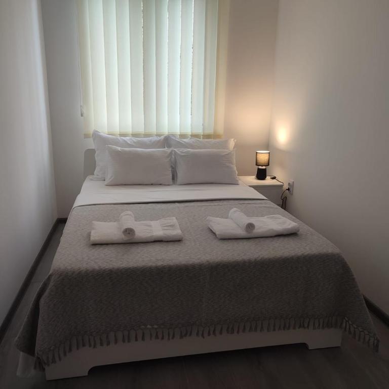 Ana Belgrade Apartments - Apartman sa 1 Spavaćom Sobom - 13