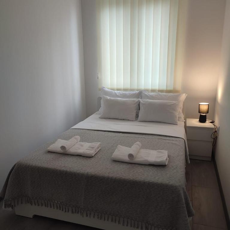 Ana Belgrade Apartments - Apartman sa 1 Spavaćom Sobom - 14