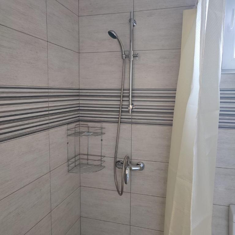 Ana Belgrade Apartments - Apartman - Prizemlje - 13