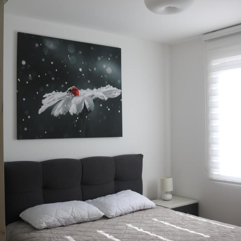 Vila Irina Kopaonik - Apartman sa 1 Spavaćom Sobom - 21